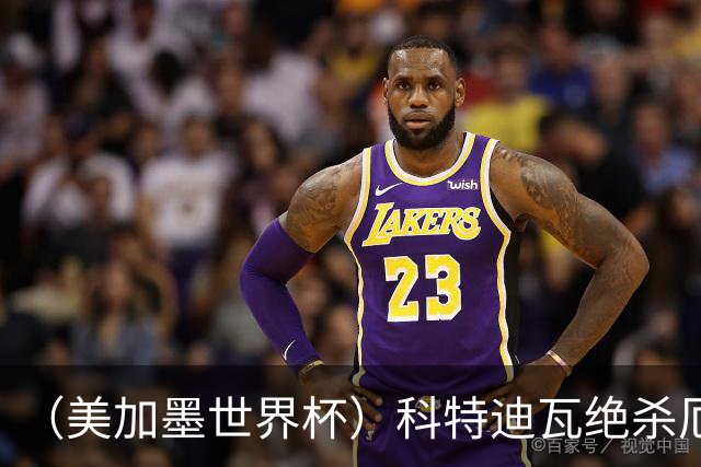 （美加墨世界杯）科特迪瓦绝杀厄瓜多尔 瑞典5:1大胜突尼斯